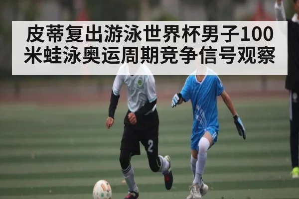 皮蒂复出游泳世界杯男子100米蛙泳奥运周期竞争信号观察